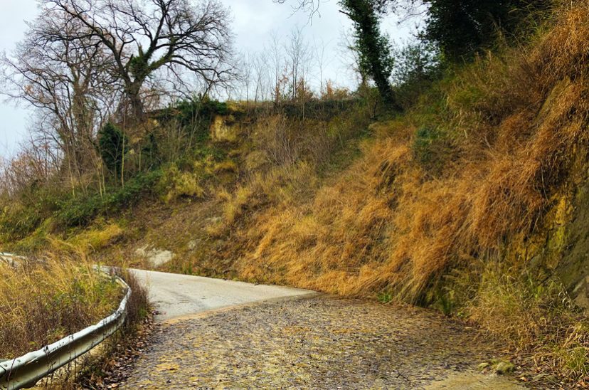 02 Stato di fatto zona 2